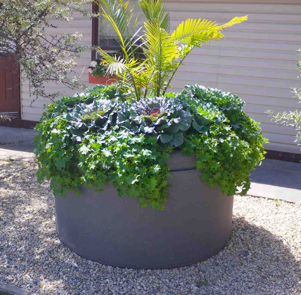 Large commercial self-watering planter with lush greenery used for low-maintenance landscaping in public and commercial spaces.